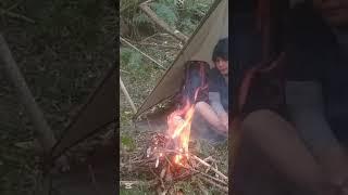 RELAXING SOUND OF NATURE - SOLO CAMPING️ #camping #solocamping #bushcraft #nature #outdoors