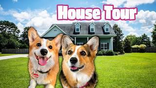 Hammy and Olivia Bought a House and Take a Tour 