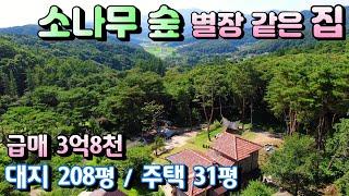 강추! 소나무숲 국유림 독립적인 양평전원주택급매물 / 대지 208평, 주택 31평 매매 3억8천 / 지평역 7키로, 산속풍경 조용한위치  양평전원주택급매물[매번 - 19544]