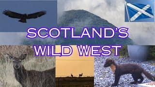 THE UNTAMED BEAUTY OF SCOTLAND'S WILD WEST - A Wildlife Documentary