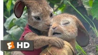 Peter Rabbit (2018) - Playing With Fire Scene (8/10) | Movieclips
