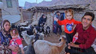 Documentary of nomadic life: Khosrow and Niloufar help Fatima in the village during the rain