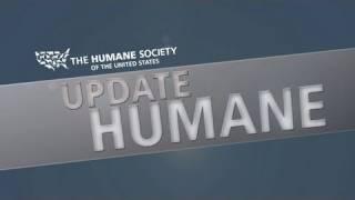 Inside The HSUS: Update Humane