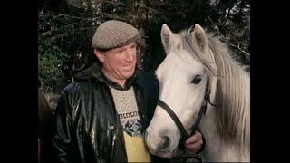 Horse Fair Day at Maam Cross, Co. Galway, Ireland 1989