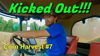 Kicked Out Of The Combine!!!  Corn Harvest #7 (9/11/24)