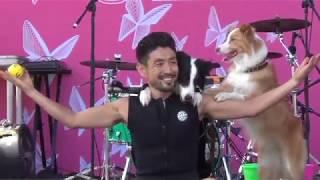 Mardi Gras Fair Day 2018: Dai Aoki and his performing dogs Ace and Holly during "Doggiewood"