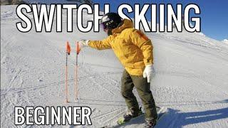 Skiing Switch Beginner Tutorial