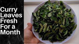 How To Store Curry Leaves Fresh For A Month In The Fridge - Kitchen Tips