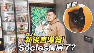 【2024新後宮導覽！Socles獨居了？】志銘與狸貓