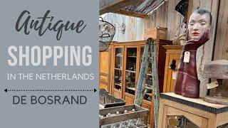 I Found an AMAZING Antique Shop! I De Bosrand