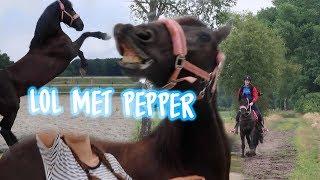 Vrijheidsdressuur met Pepper+ Neckrope rijden in het bos!