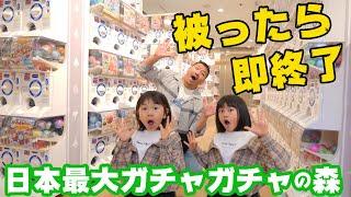 ガチャガチャ被ったら即終了！！日本最大ガチャガチャの森で被るまで終われまてんやってみたhimawari-CH