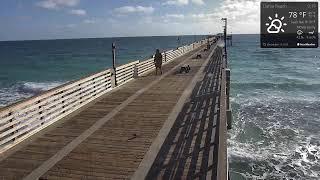 Dania Beach Pier Cam