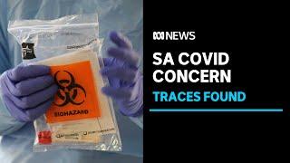 SA Health alarmed at COVID-19 traces in Adelaide wastewater | ABC News