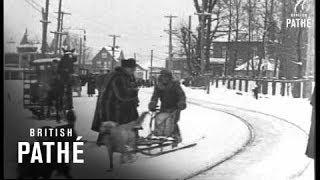 Dog Sled Derby (1925)