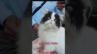 "4th pets gala and panchi mela" arranged by VCC (VET CARE CLUB) #uvas #pets #petsvlog #vcc #vetcare