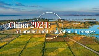 China 2024: All-around rural vitalization in progress