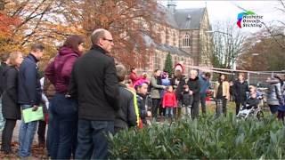 Sint Nicolaas in Helvoirt,