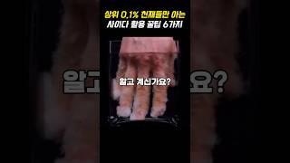 당신은 모르는 상위 0.1%들의 사이다 활용 꿀팁 6가지