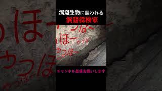 洞窟生物に襲われてパニックになる洞窟探検家