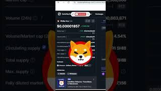 Shiba Inu News | A Detailed Examination of Addresses with 100 Billion to 10 Trillion SHIB