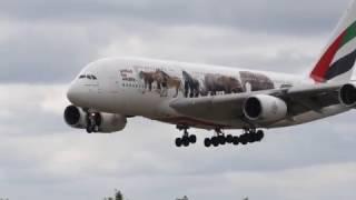 Airbus A380 Heavy Arrivals | London Heathrow