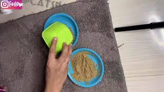 Kitten care : how to crushed dried food for fast growth n weight gain | kitten food recipe | kitten