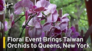 Floral Event Brings Taiwan Orchids to Queens, New York | TaiwanPlus News