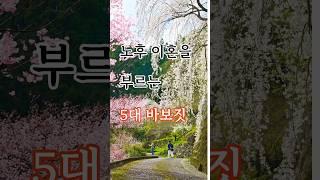 노후 이혼을 부르는 5대 바보짓 #영감을주는이야기 #지식 #건강정보