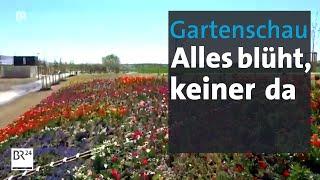 Landesgartenschau: Blumenmeer ohne Besucher | Abendschau | BR24