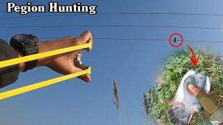 Sling Shot Hunting Rock Pegion | Slingshot Hunting Birds