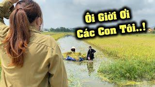 Cô Thảo Về Thăm Mạnh Với Phước Hốt Hoảng Khi Biết Mạnh Và Phước Đi Gặt Giữa Trời Nắng..!