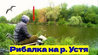 Рибалка на р. Устя в м. Рівне. Ловлю на бюджетну прикормку!