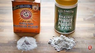 Baking Soda vs Baking Powder