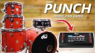 PUNCH for Pearl Mimic Pro | New Instruments with Multi-layer Samples & Custom Kits | Sound Download