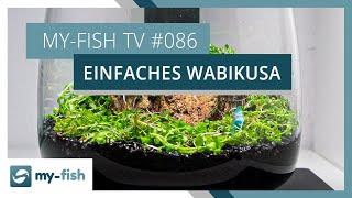 Einfaches Wabikusa aus Pflanzenresten | my-fish TV #086