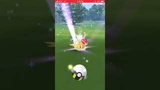 Catching Shiny Magikarp! POKÉMON GO