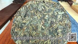 【老徐谈茶】第二十七期：是不是普洱古茶树，教你3招看树龄！ 超清