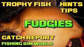 Fishing Sim World Trophy Catch Fudgies 86lb 5oz Biggest Fish In Gigantica