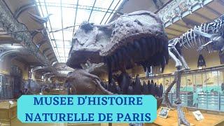 LE MUSEE NATIONAL D'HISTOIRE NATURELLE DE PARIS