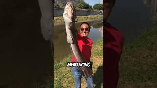 Pria ini memiliki Cara Cerdas dalam Memancing ikan #shortvideo #trending #viralvideo