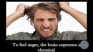 Alternative to Meds Center: Video 1 Neurotoxicity