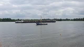 Schiff auf dem Rhein bei Rees 31.5.24
