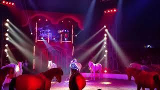 Wielkie show konne- Circus Louis Knie 2021