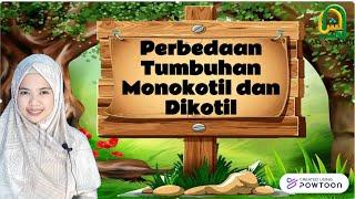 PERBEDAAN TUMBUHAN MONOKOTIL DAN DIKOTIL