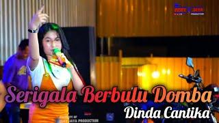 HAPPY LOSS - SERIGALA BERBULU DOMBA - DINDA CANTIKA - 15 YEAR ANNIVERSARY ORSPEX - WARKOT KUDUS