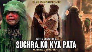 Sughraع Ko Kya Pata | 10 Muharram Bibi Sughra WhatsApp Status 2023 | Nadeem Sarwar | Ishq e Hasnain