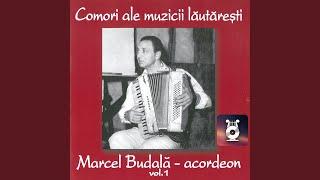 Sârba lui Marcel Budală