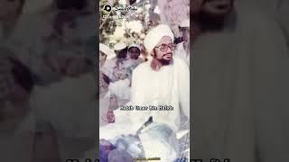 habib Umar bin hafidz