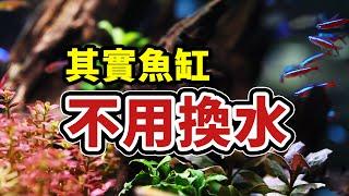 超簡單，低成本，2個月不用換水的魚缸